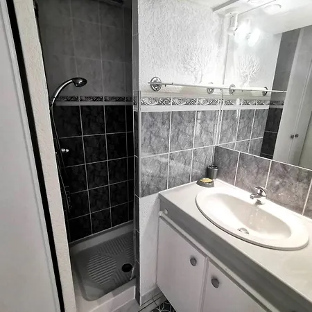 Avec Piscine, Animaux Ok - 4 Pers. - Fr-1-880-60 Apartman *